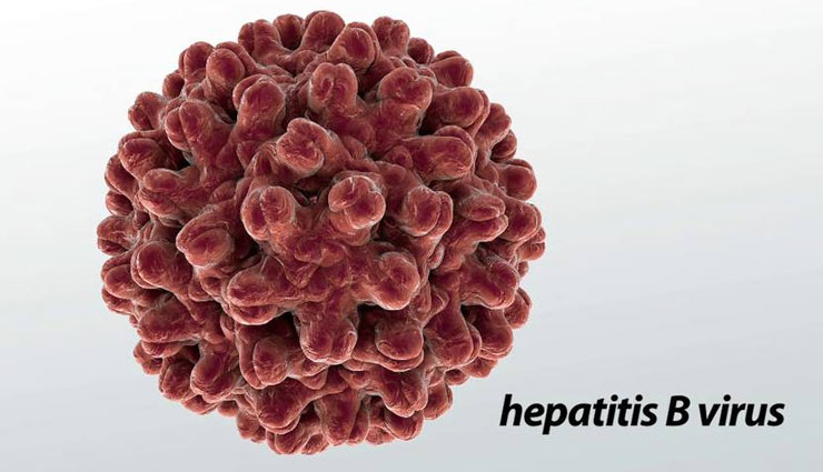 How Is Hepatitis B Transmitted? - Lifeberrys.com