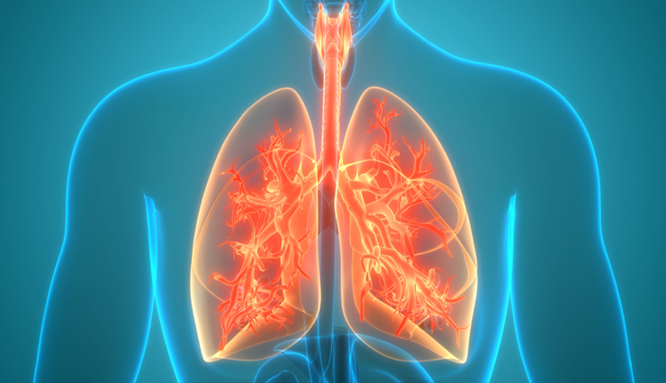 10 Things You Can Do To Keep Your Lungs Healthy Lifeberrys