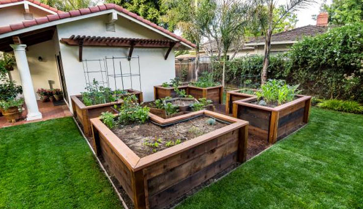 5 Different Types of Home Gardening You Can Try - lifeberrys.com