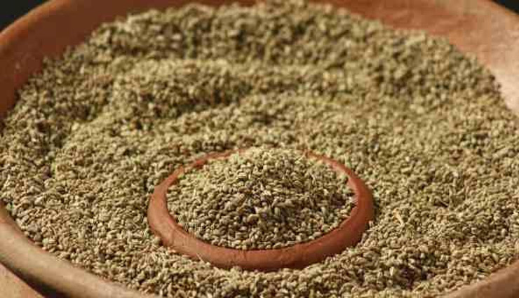 health benefits of ajwain,Health,Health tips,health care tips ,अजवाइन,अजवाइन के फायदे,हेल्थ,हेल्थ टिप्स