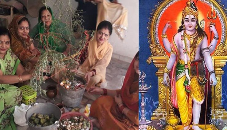 Amla Navami 2019 : आंवला नवमी के दिन जरूर करें ये 10 उपाय, होगी अक्षय पुण्य की प्राप्ति