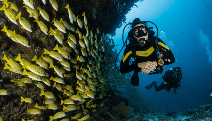 scuba diving in india,cost of scuba diving in india,places good for scuba diving in india,seven places to go scuba diving in india,best scuba diving in india,where to go scuba diving in india,cheapest scuba diving in india