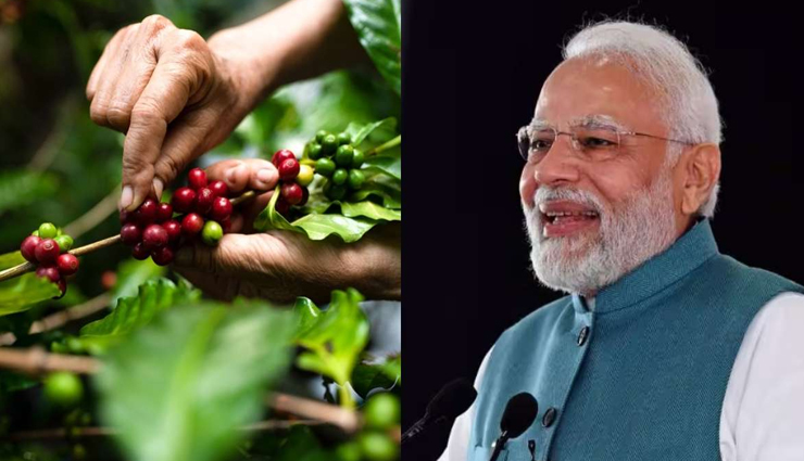 PM मोदी ने 'मन की बात' में की 'अराकू' कॉफी की तारीफ, आंध्र प्रदेश की इस कॉफी में क्या है खास