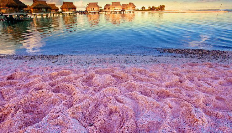 pink beaches,famous pink beaches,worlds pink beaches,best pink beaches to visit,pink sand beaches,travel guide pink beaches,unique beaches to explore,pink sand destinations,beautiful pink beaches,pink beaches for travel enthusiasts