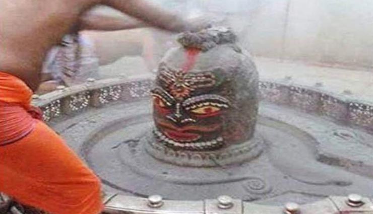 mahashivratri 2019,shiv puja,shiv bhakti,shivratri 2019,worship shiva,worship shiv,puja,bhakti ,भोलेनाथ,महाशिवरात्रि,शिवजी की पूजा,शिवरात्रि 2019,महाशिवरात्री 2019,पूजा में जरूर शामिल करें ये 6 चीजें