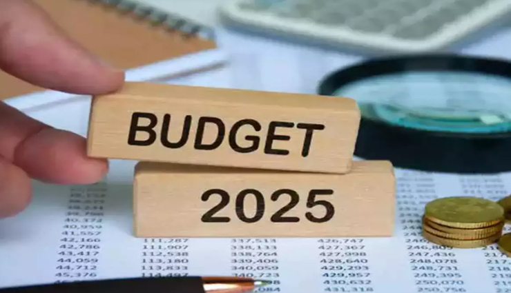 Budget 2025: उद्योग जगत के नेताओं को हैं बड़ी उम्मीदें, क्या पूरा कर पाएगी सरकार