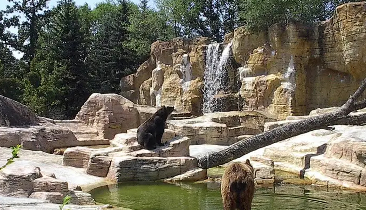 5-zoos-you-can-explore-in-canada-lifeberrys