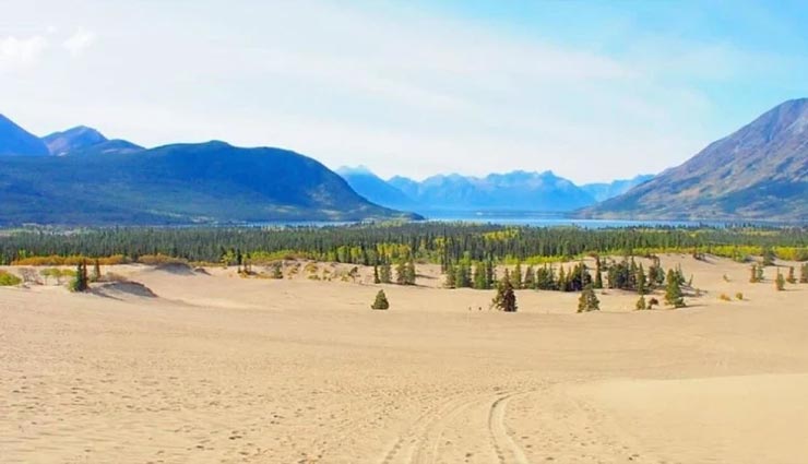 weird news,weird desert,mysterious desert,carcross desert ,अनोखी खबर, अनोखा रेगिस्तान, रहस्यमयी रेगिस्तान, कारक्रॉस रेगिस्तान