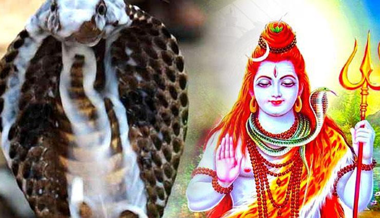 naag panchmi,naag panchmi pooja,atrology tips ,नागपंचमी,नागपंचमी पूजा, एस्ट्रोलॉजी टिप्स