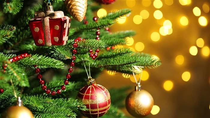 Do You Know The History and Importance of Christmas Tree? - lifeberrys.com