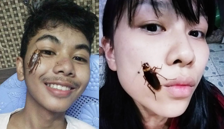 cockroach challenge,cockroach challenge viral,cockroach challenge viral on internet,cockroach on face,cockroach latest challenge,internet latest challenge,bizarre challenge,alex aung ,कॉकरोच चैलेंज, कॉकरोच चैलेंज वायरल,इंटरनेट वायरल कॉकरोच चैलेंज, इंटरनेट लेटेस्ट चैलेंज,कॉकरोच ऑन फेस,कॉकरोच चैलेंज लेटेस्ट न्यूज,तिलचट्टा चैलेंज