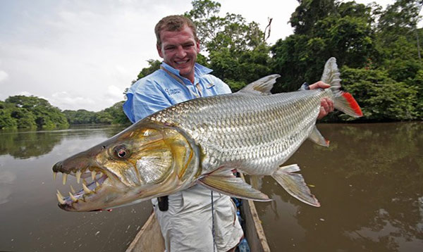 dangerous fishes,fishes around the world,largest fish,holidays