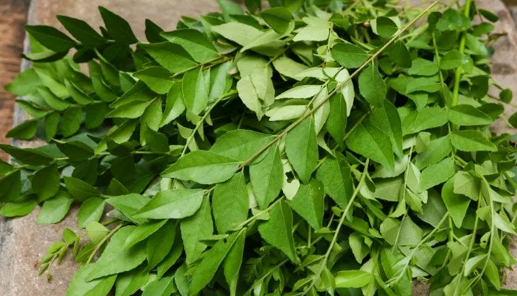 curry leaves chutney,curry leaves chutney tasty,curry leaves chutney different taste,curry leaves chutney unique,curry leaves chutney ingredients,curry leaves chutney recipe,curry leaves chutney healthy,curry leaves chutney delicious