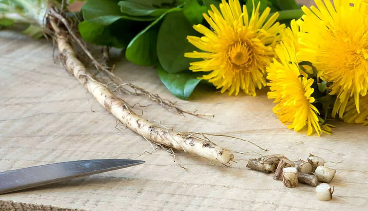 Dandelion root что это