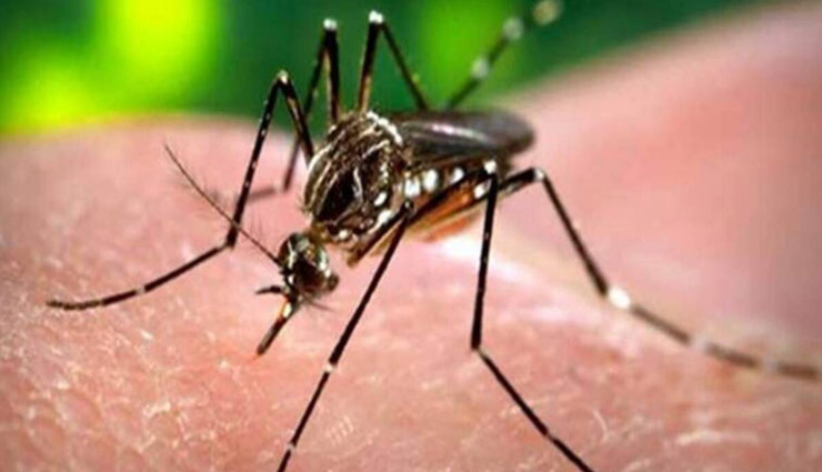 dengue prevention tips,monsoon dengue protection,how to avoid dengue in monsoon,dengue risk during monsoon,protect from dengue in rainy season,dengue prevention methods,monsoon health tips,prevent dengue at home,dengue prevention strategies,avoid dengue during monsoon