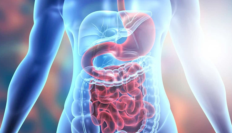 stomach growling causes,remedies for stomach growling,how to stop stomach growling,excessive stomach growling,stomach rumbling remedies,reasons for stomach growling,quieting a noisy stomach,reducing stomach noises,preventing stomach growling,stomach growling remedies,managing stomach rumbling