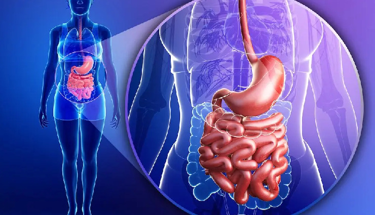 smoke effect in food,health risks of smoked food,is smoked food harmful,smoked food and health hazards,effects of smoke in food,dangers of food with smoke effect,smoke-flavored food risks,smoked food side effects,harmful effects of liquid nitrogen in food,smoked food and digestive issues