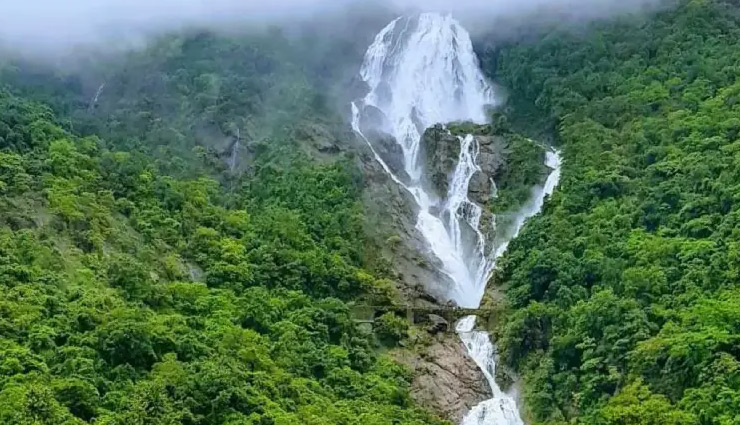 famous waterfalls in india,top waterfalls to visit in india,best waterfalls in india for nature lovers,waterfalls in india for adventure seekers,most beautiful waterfalls in india,popular indian waterfalls for tourists,top 10 waterfalls in india,hidden waterfalls in india,scenic waterfalls in india,waterfalls to visit during monsoon in india,waterfall treks in india,photogenic waterfalls in india,indias largest waterfalls,top waterfalls in western ghats india,famous waterfalls in south india,majestic waterfalls in north india,best waterfalls in