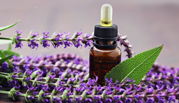 7 Essential Oils To Treat Migraines and Headaches - lifeberrys.com