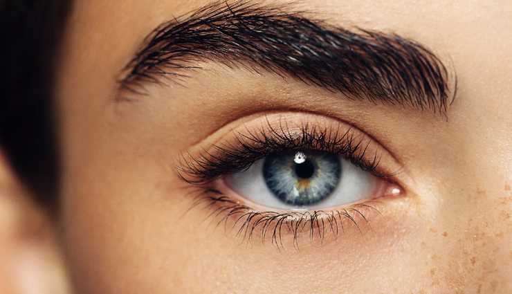 Home Remedies To Help You Get Dense Eyebrows - lifeberrys.com