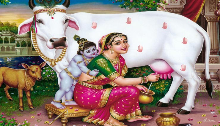 astrology tips,astrology tips in hindi,gopashtami,gopashtami 2019,measures related to gau mata,troubles overcome ,ज्योतिष टिप्स, ज्योतिष टिप्स हिंदी में, गोपाष्टमी, गोपाष्टमी 2019, गौ माता के उपाय, परेशानियों से निजात के उपाय 