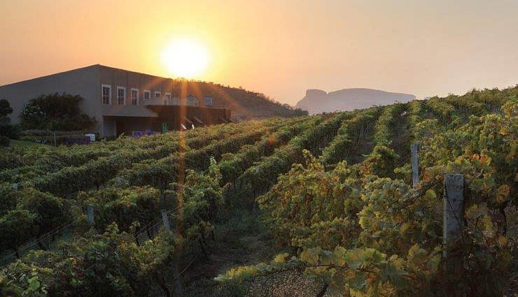 7 Must Visit Vineyards in India - lifeberrys.com