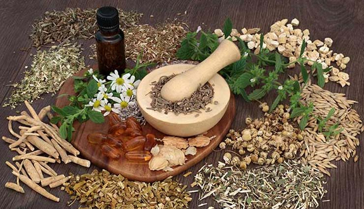 4 Herbs You Can Use As Natural Birth Control 1024