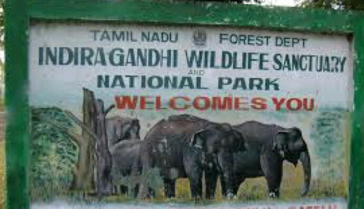 10 National Parks and Wildlife Sanctuaries in Tamil Nadu - lifeberrys.com