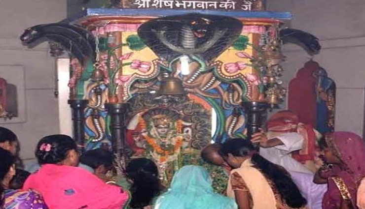 नागपंचमी के दिन इस मंदिर में की गई पूजा से प्रसन्न होकर नागदेवता करते है हर मनोकामना पूर्ण 