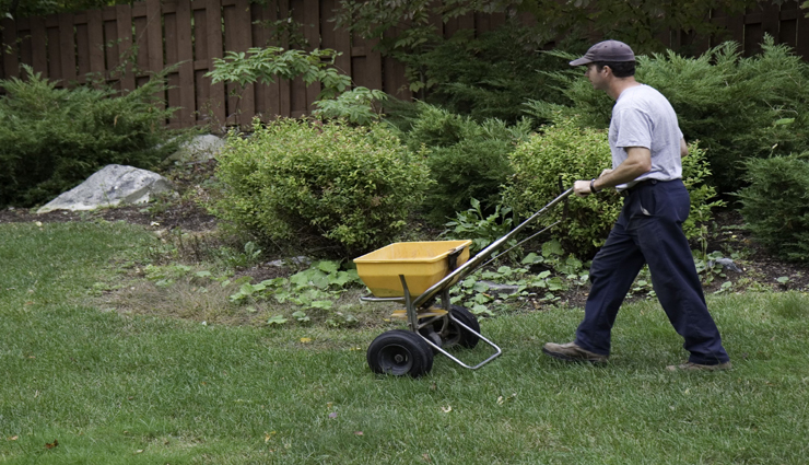 4 Common Ways To Fertilize Your Lawn