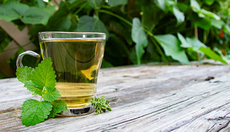 5 Amazing Health Benefits Of Lemon Balm Tea - Lifeberrys.com