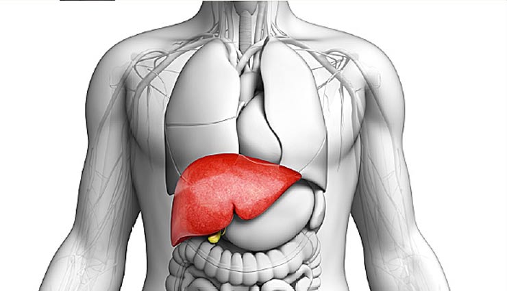 विश्व हेपेटाइटिस डे : पेट के एसिड को कम करके इससे होने वाले नुकसानों से बचाता है लिवर, विशेष रूप से रखे इसका ख्याल
