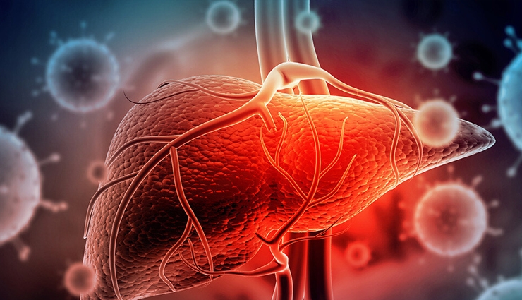 लीवर को बर्बाद करने का कारण बनती हैं आपकी ये गलत आदतें, जानें और करें सुधार 