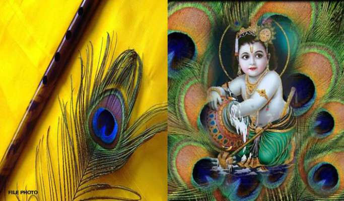 lord krishna crown,peacock feather,janmashtami special ,कृष्ण जन्मोत्सव,मोरपंख,श्रीकृष्ण,जन्माष्टमी,मोरपंख का महत्व,मुकुट पर सजा मोरपंख