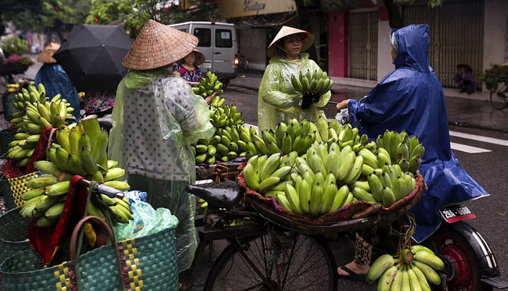 5 Markets To Visit in Hanoi - lifeberrys.com