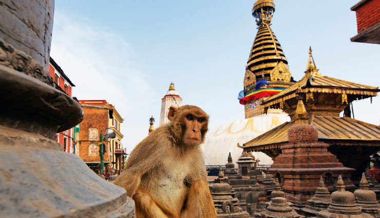 kathmandu tourist places,best places to visit in kathmandu,top spots in kathmandu,must-visit places in kathmandu,kathmandu tourism,historical sites in kathmandu,famous temples in kathmandu,kathmandu travel guide