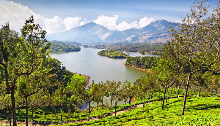 9 Reasons Why Munnar is a Perfect Holiday Destination - lifeberrys.com