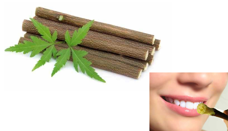 healthy living,7  health benefits of neem stem,neem leaf uses,benefits of neem,health tips from neem