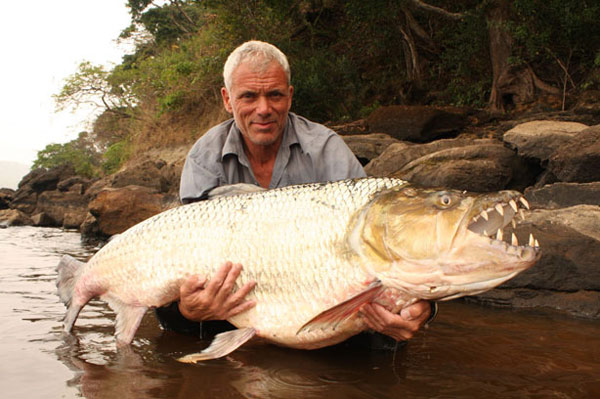 dangerous fishes,fishes around the world,largest fish,holidays