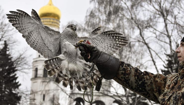 president house of russia,the security of president house,security by  hawks and owls ,रूस का राष्ट्रपति भवन, राष्ट्रपति भवन की सुरक्षा, बाज और उल्लू द्वारा राष्ट्रपति भवन की सुरक्षा