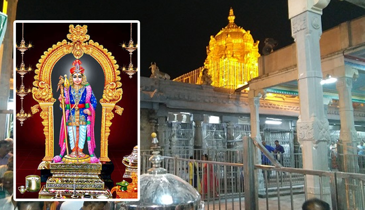 History of Palani Murugan, The Sacred Gem of Dindigul - lifeberrys.com