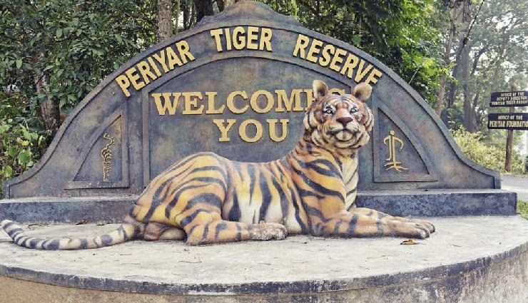 tiger sightings in india,famous national parks for tigers,best tiger reserves in india,tiger safari in india,wildlife tourism india,kanha national park tigers,ranthambore tiger safari,sundarbans tiger reserve,pench national park,periyar tiger reserve,best parks to see tigers in india,tiger tourism india,popular tiger reserves