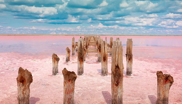 https://www.lifeberrys.com/img/article/pink-lakes-1-1676473609-lb.jpg