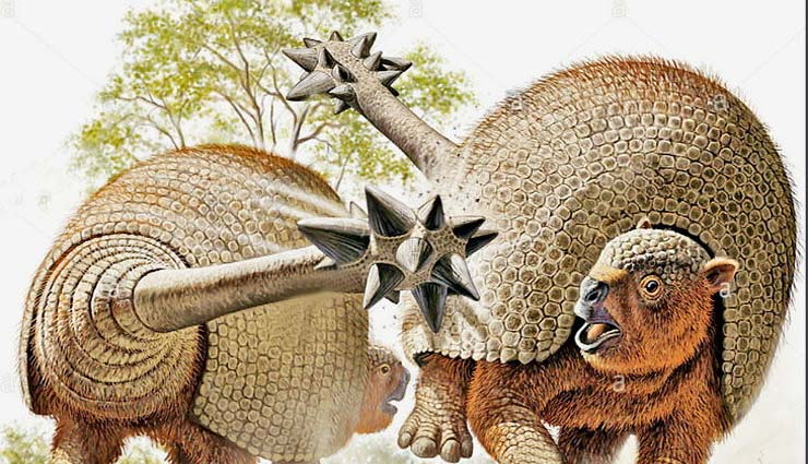 argentia,glyptodont shell discovered at ezeiza,greater buenos aires in argentina,weird news,weird news in hindi ,अर्जेंटीना,ग्लाइप्टोडॉन्ट