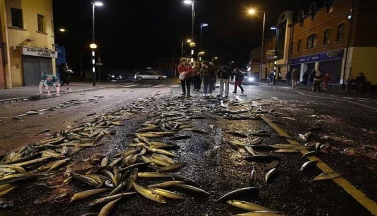 weird news,weird incident,weird rain,fish rain,fishes on road,honduras ,अनोखी खबर, अनोखा मामला, अनोखी बरसात, मछलियों की बरसात, होंडूरास 