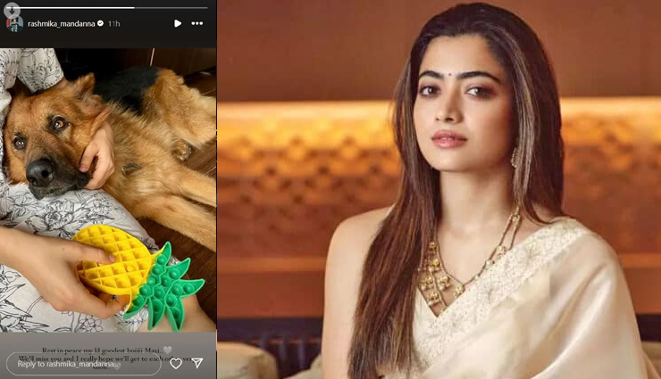 natasa stankovie,actress natasa stankovic,agastya,hardik pandya,natasa agastya,natasa hardik divorce,rashmika mandanna,actress rashmika mandanna,rashmika dog,animal