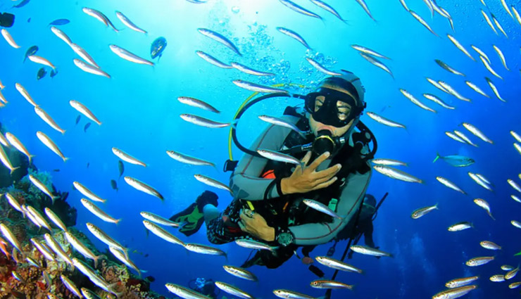 5 Places To Experience Scuba Diving in India - lifeberrys.com