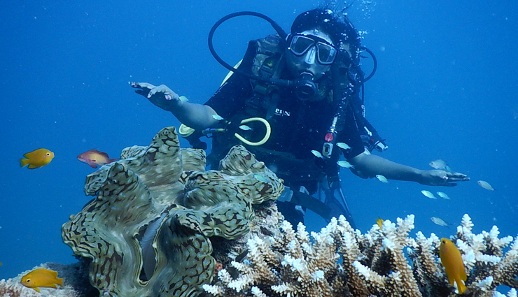 scuba diving in india,cost of scuba diving in india,places good for scuba diving in india,seven places to go scuba diving in india,best scuba diving in india,where to go scuba diving in india,cheapest scuba diving in india