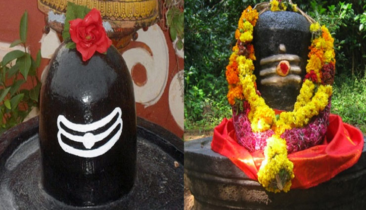 अपनी राशी के अनुसार सावन में करे शिव की पूजा, फिर देखे चमत्कार