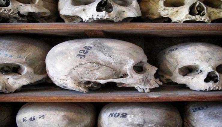 weird news,weird information,human skulls online sell ,अनोखी खबर, अनोखी जानकारी, इंसान की खोपड़ियां ऑनलाइन बिक्री